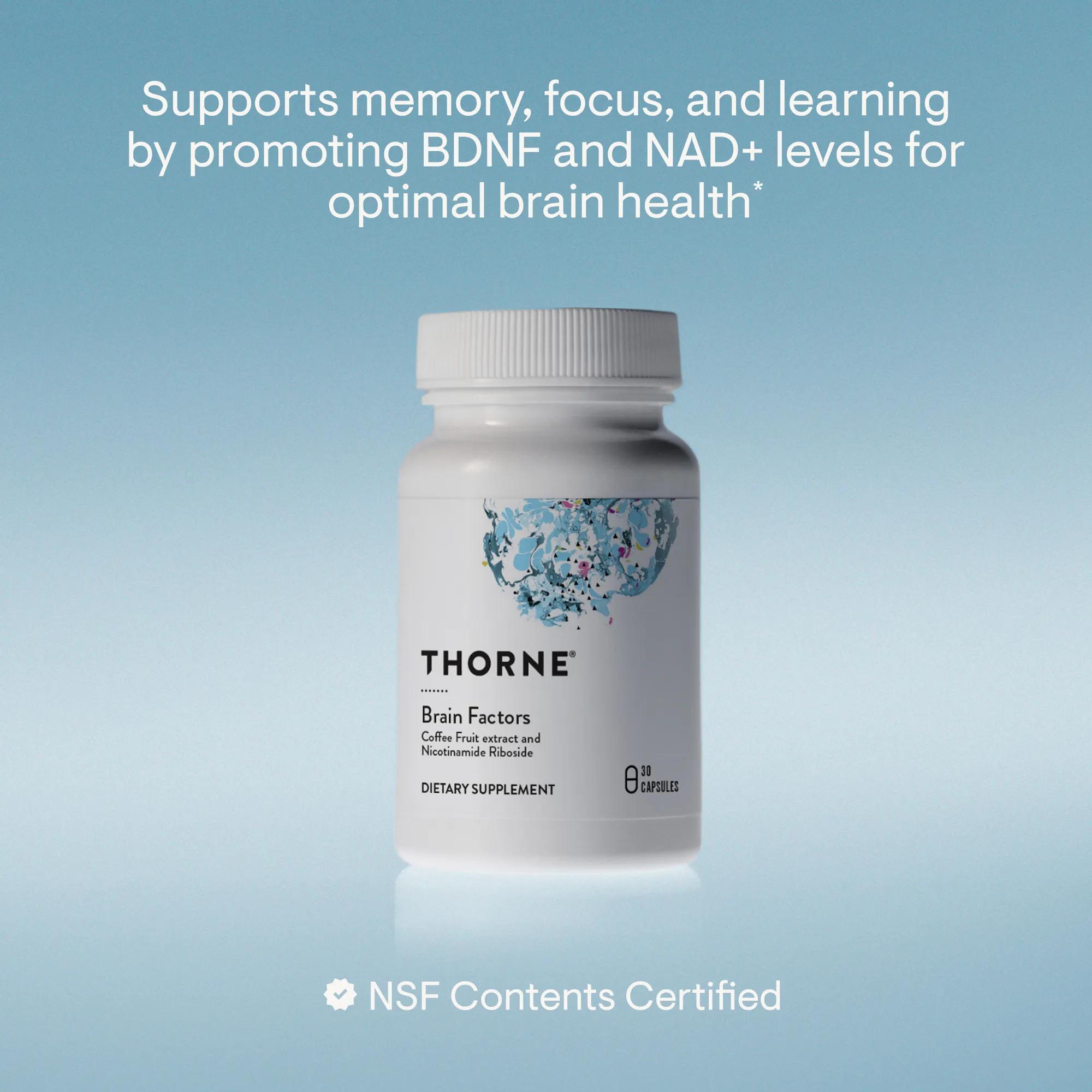 Brain Factors thumbnail 2