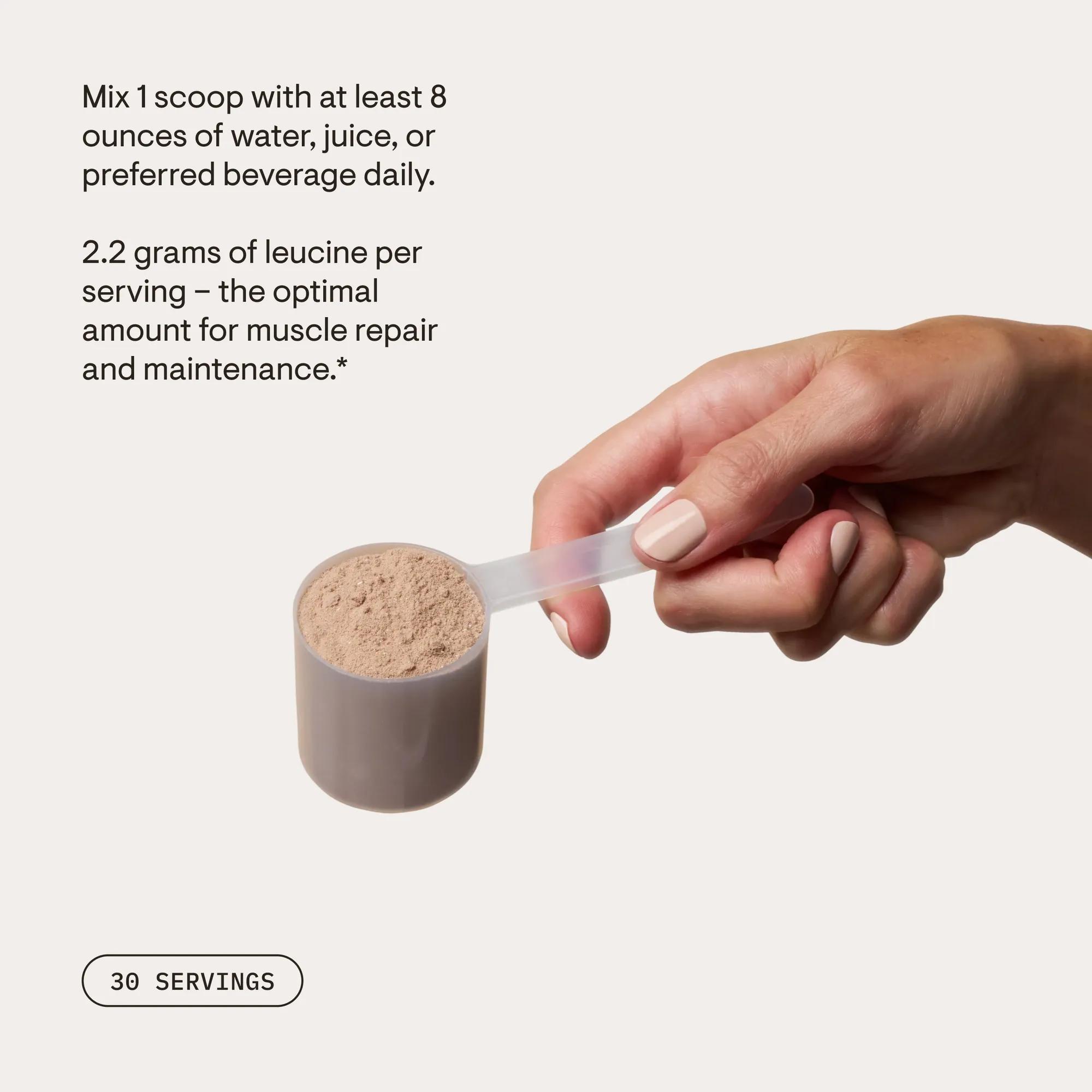 Whey Protein Isolate - Chocolate thumbnail 4